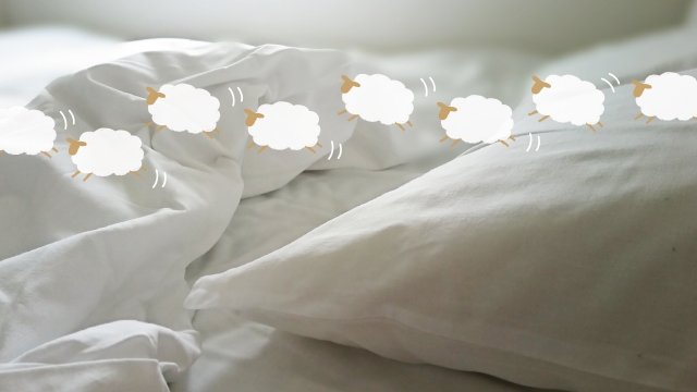 アパートひとり暮らしにおすすめなカーテン・寝具　イメージ画像　羽布団